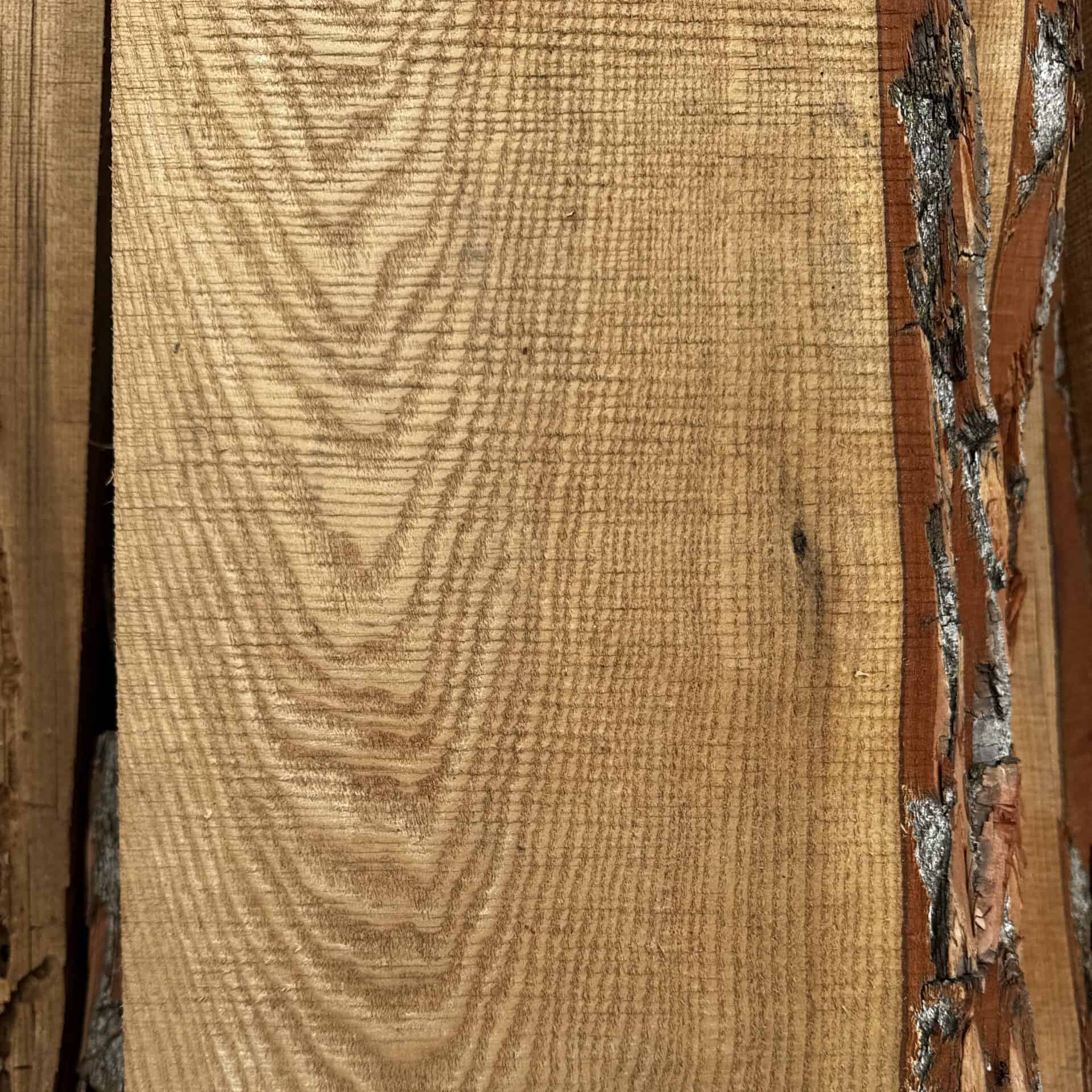 Sassafras Wood Slab