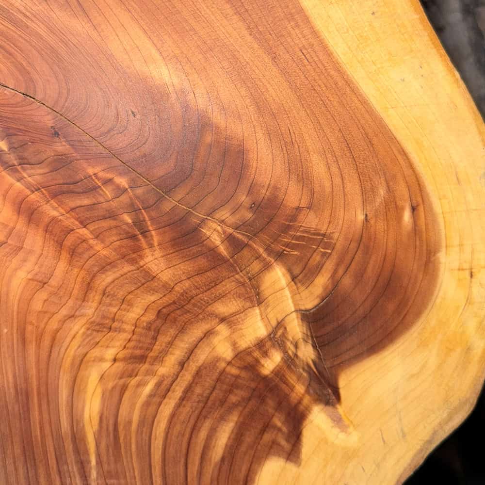 Cedar Slab With Woodgrain